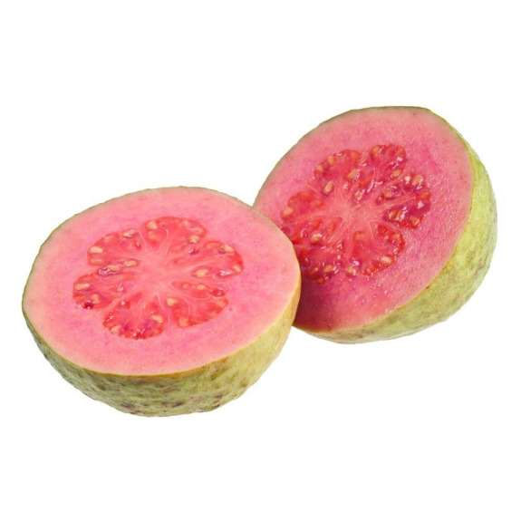 جوافة بلدي