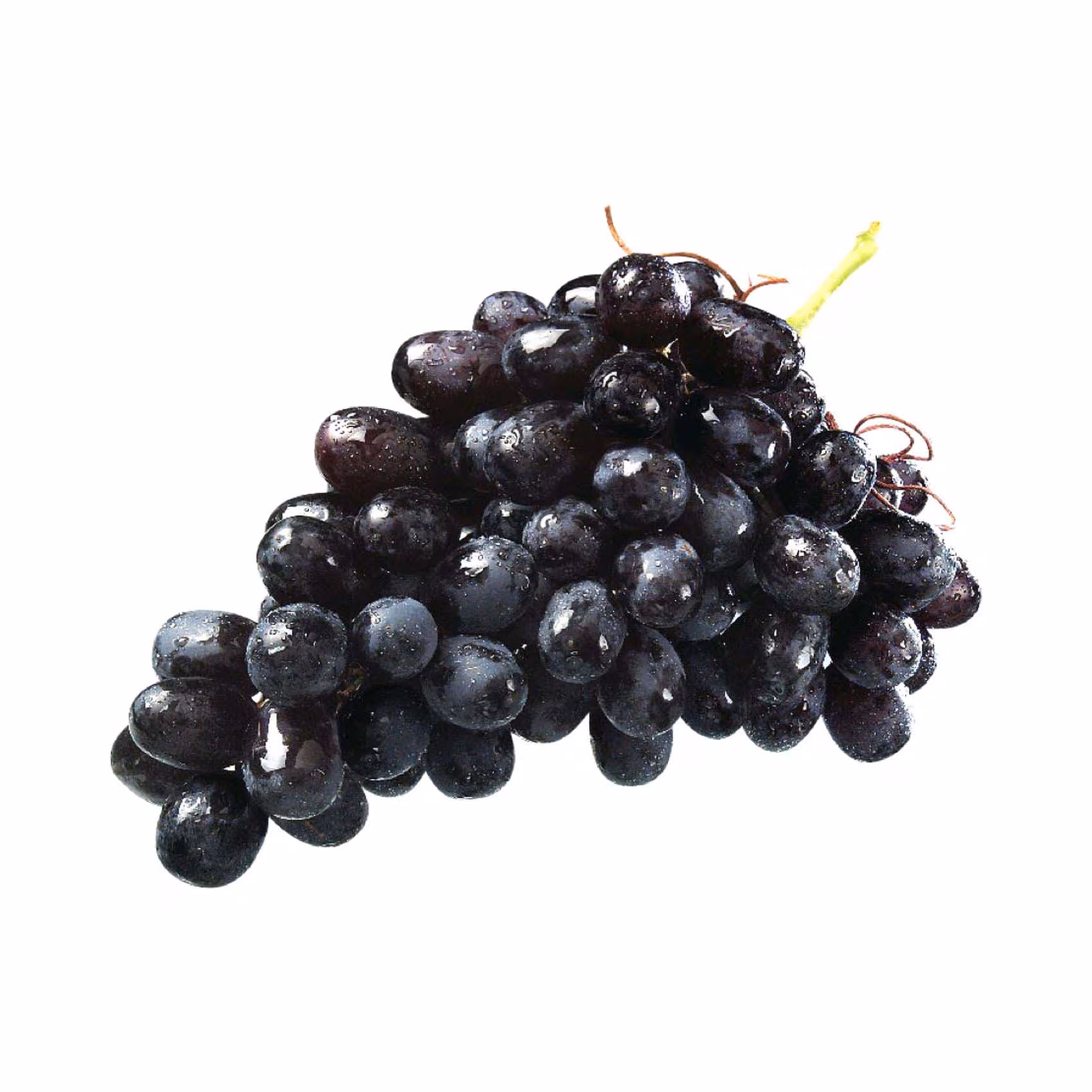 عنب أسود